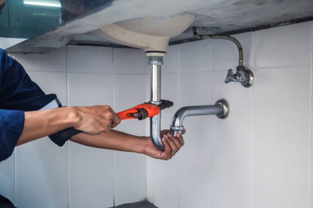Best Emergency Plumbing Repair  in Oglesby, IL