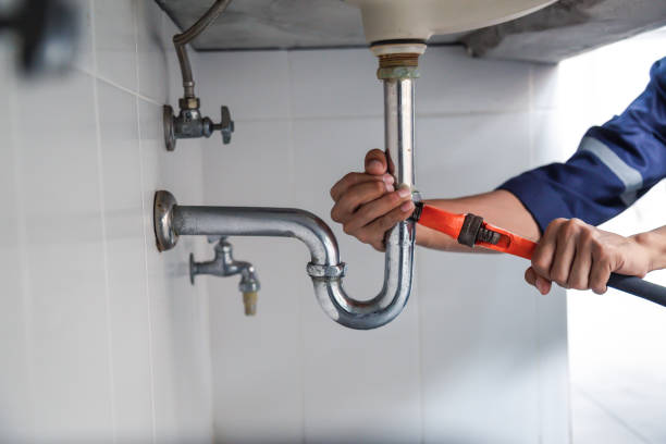 Best Local Plumber Services  in Oglesby, IL