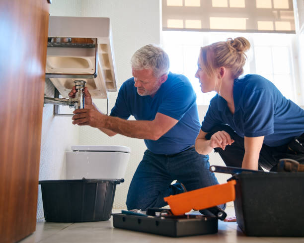 Best Plumbing Services Near Me  in Oglesby, IL